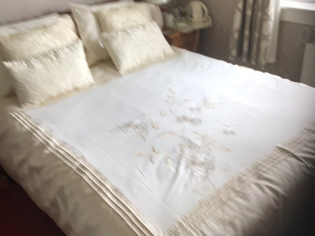 Old Shop House主图