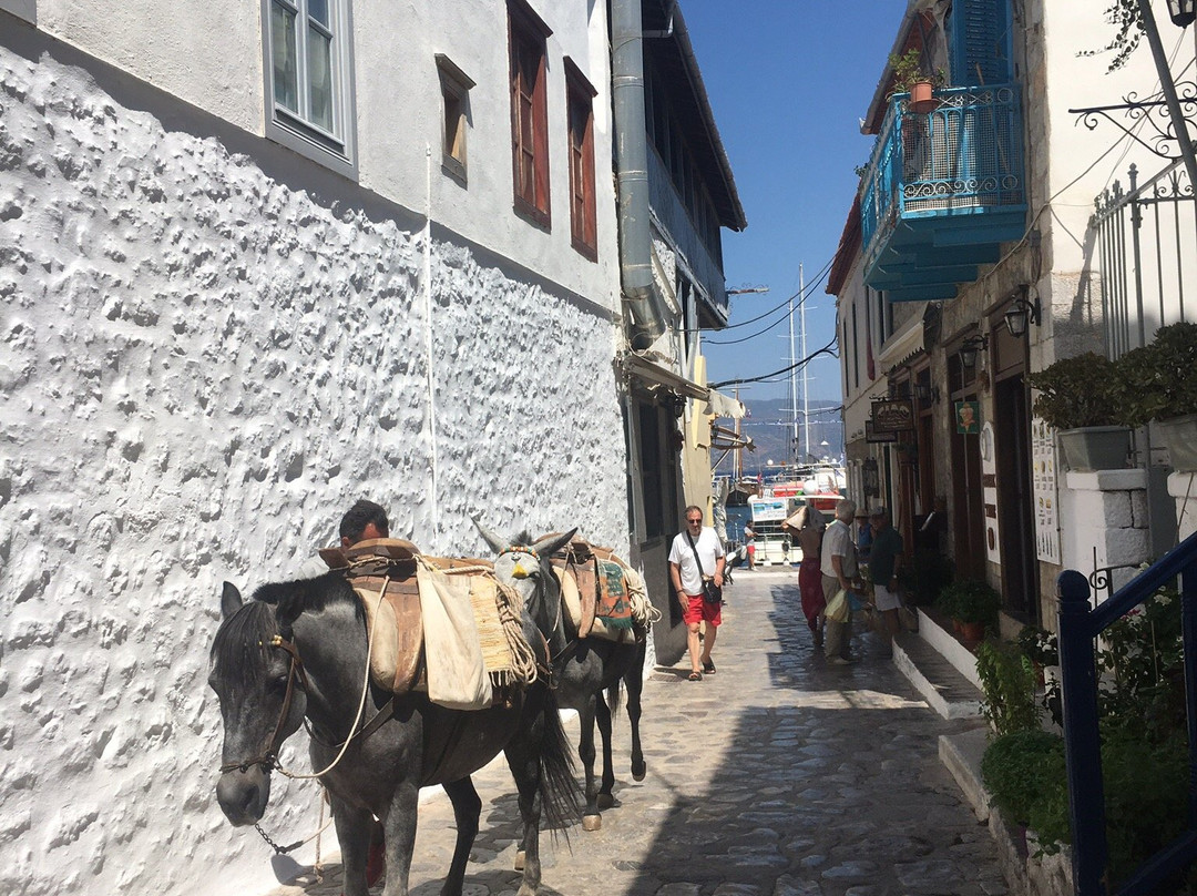 Douskos Port House主图