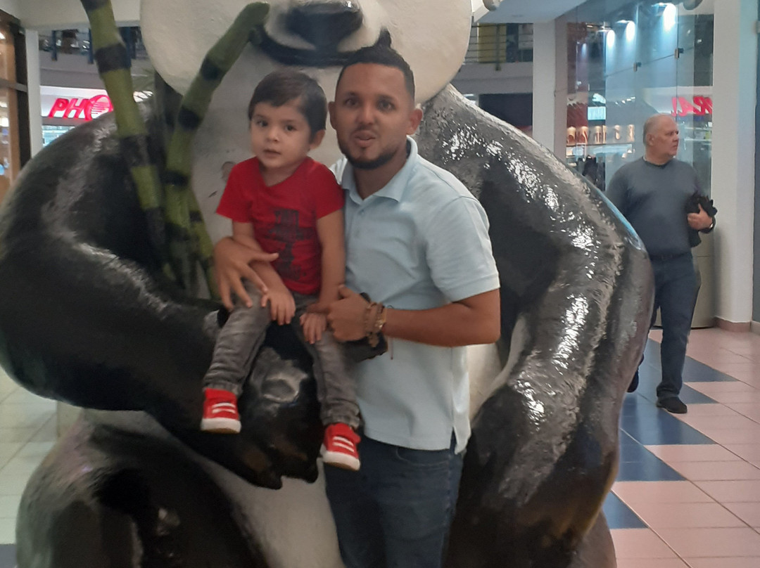 Albrook Mall景点图片