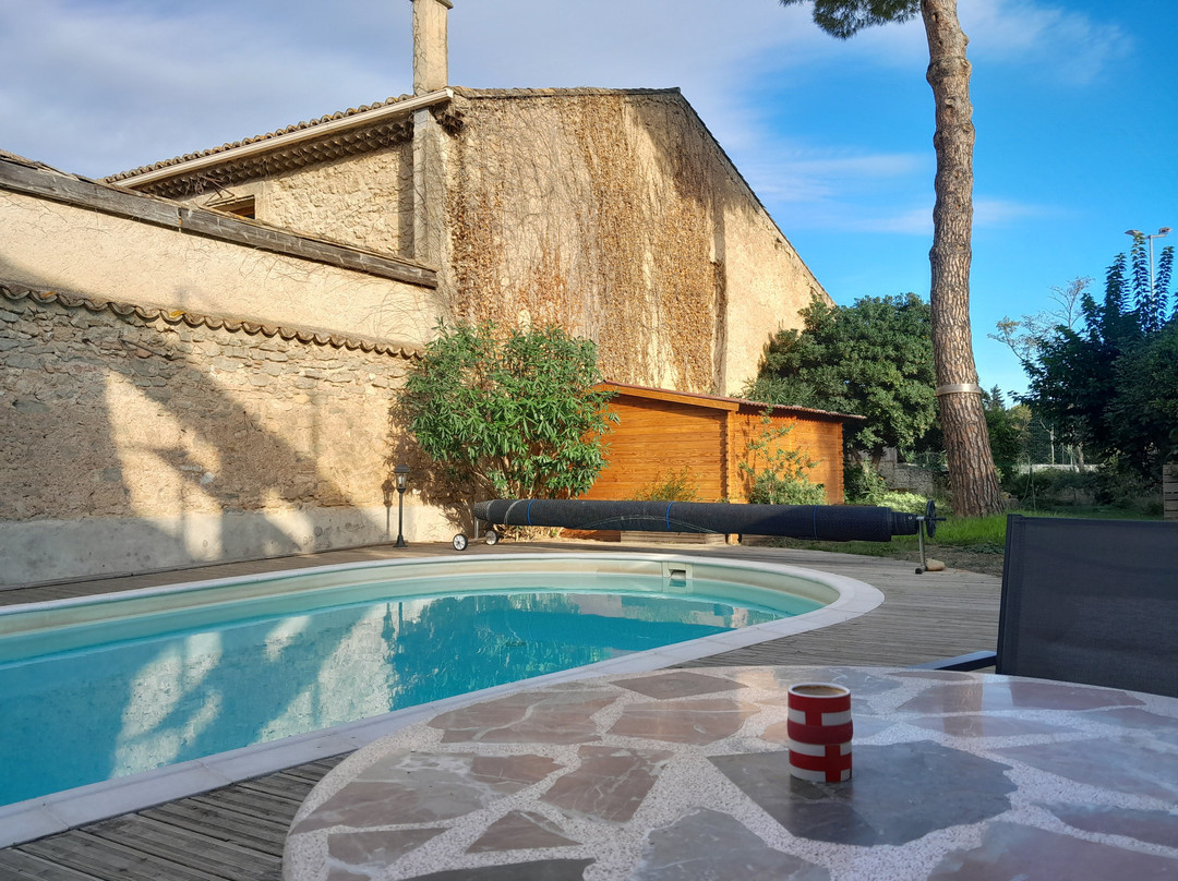 La Pause Sous Le Pin