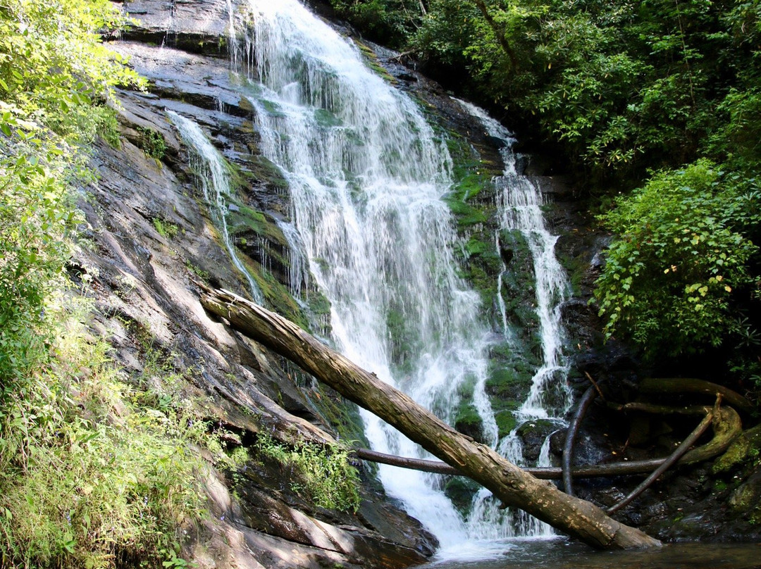 King Creek Falls景点图片
