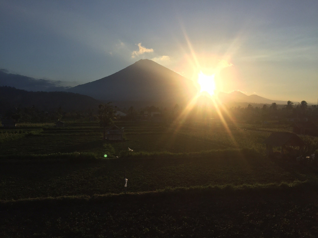 D'uma Amed Homestay主图