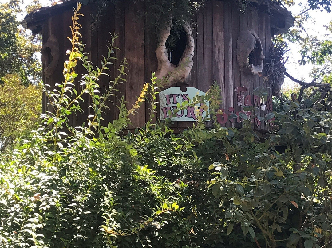 Its a Burl-Kerby必去景点