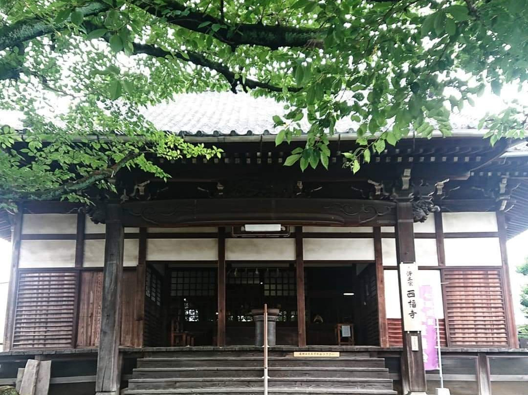 Saifuku-ji Temple景点图片