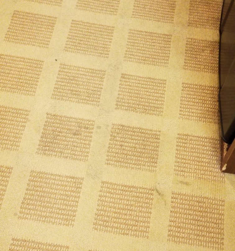 普林斯顿麦克罗特客栈&套房酒店主图