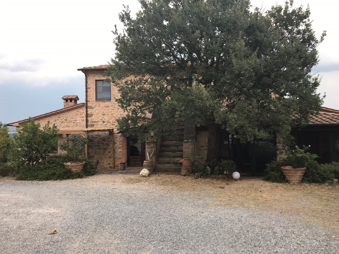 Salaiolo 176 Azienda Agricola主图