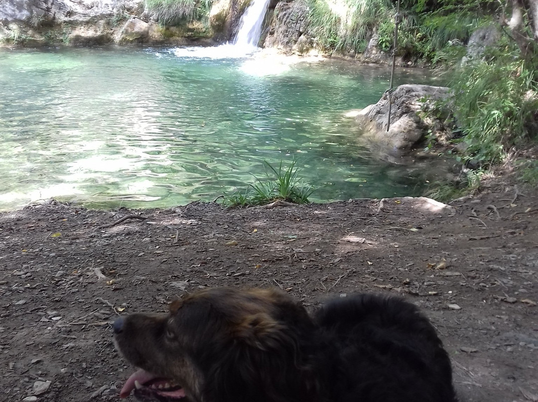 Piscine Naturali景点图片
