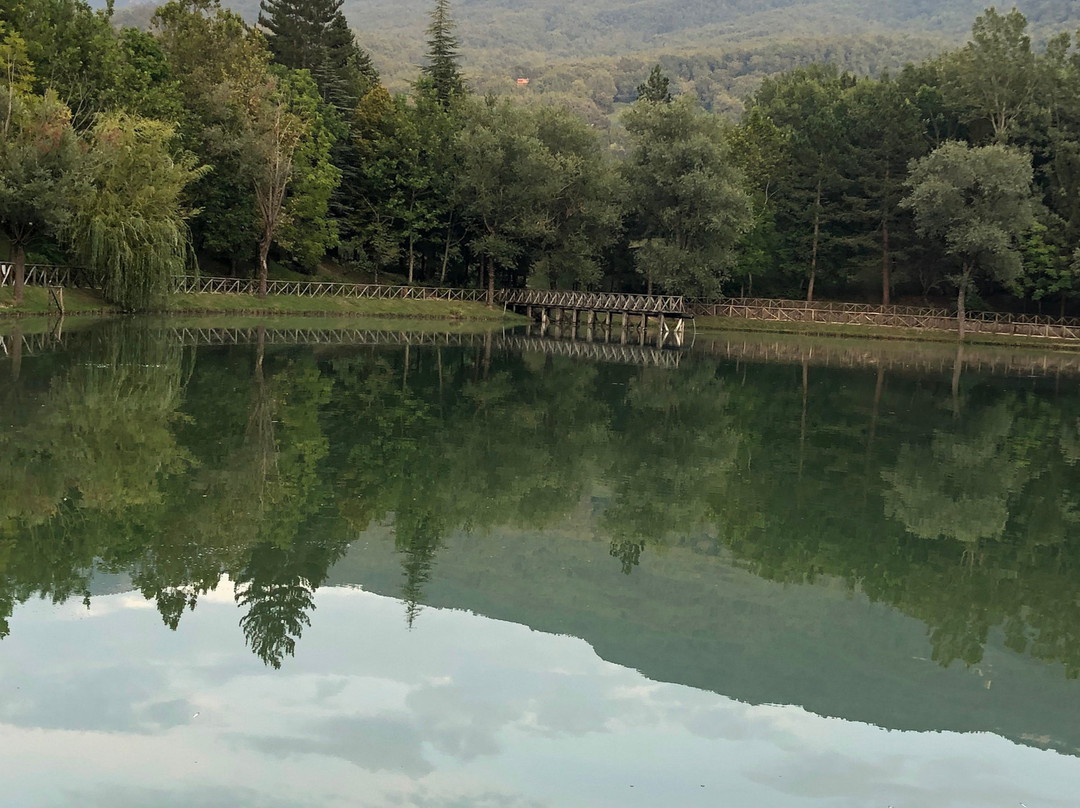 Albergo Lago Verde主图