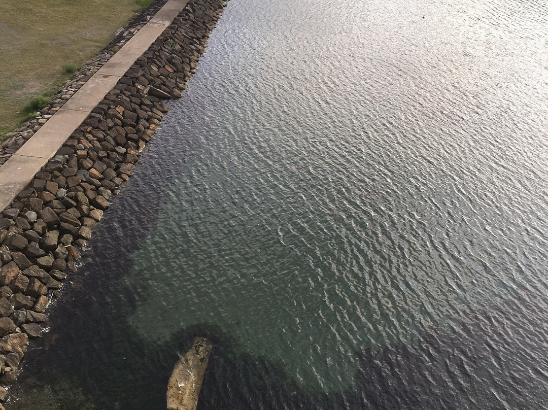 浅虫樱花观光酒店主图