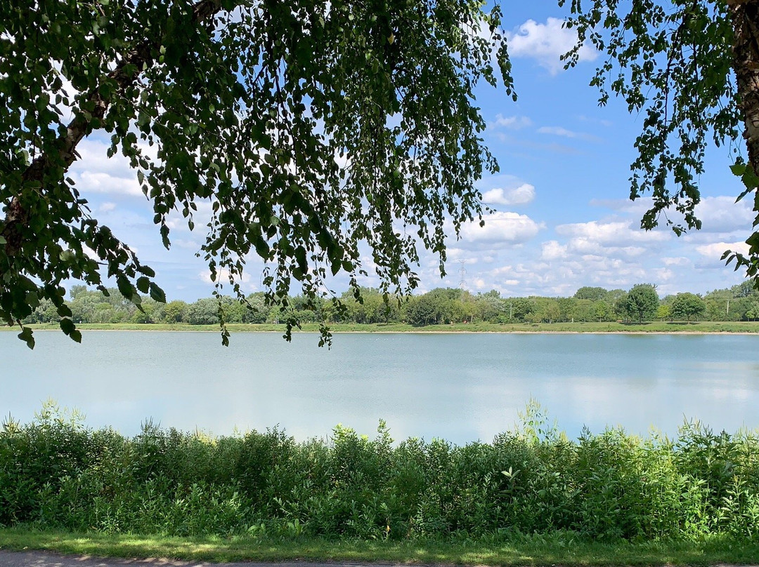 Lake Arlington景点图片