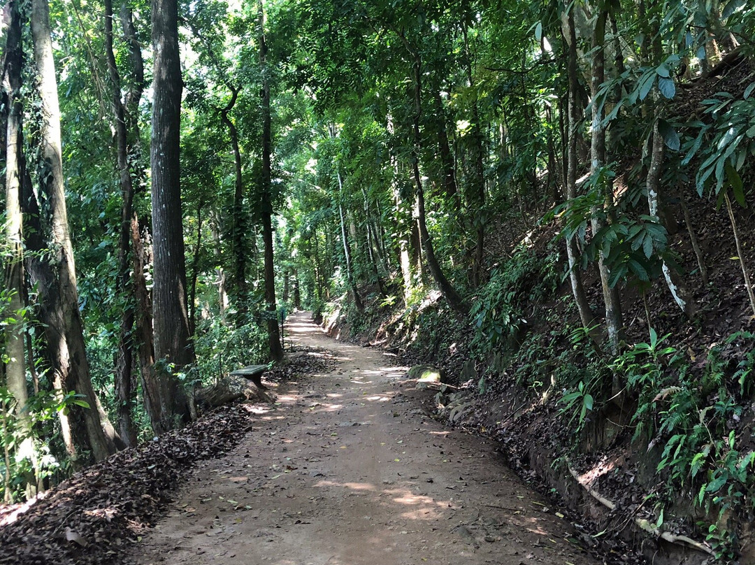 乌达瓦塔凯勒保护区景点图片