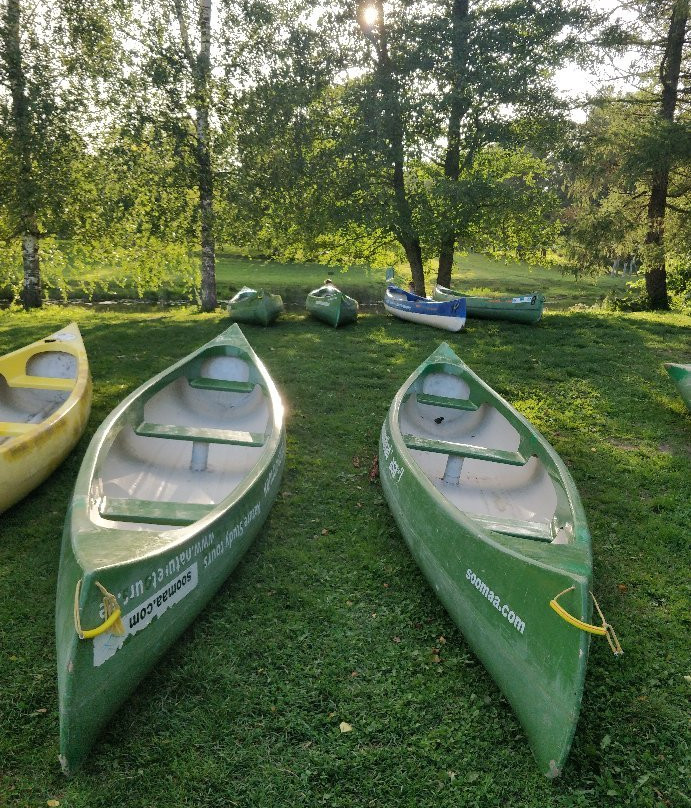 Wilderness Experiences in Soomaa National Park-派尔努必去景点