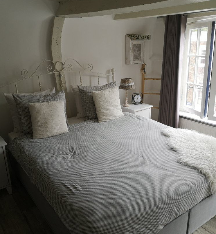 De Slapende Leeuw主图