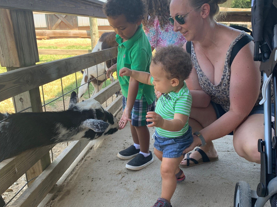 Luray Zoo - A Rescue Zoo-卢雷必去景点