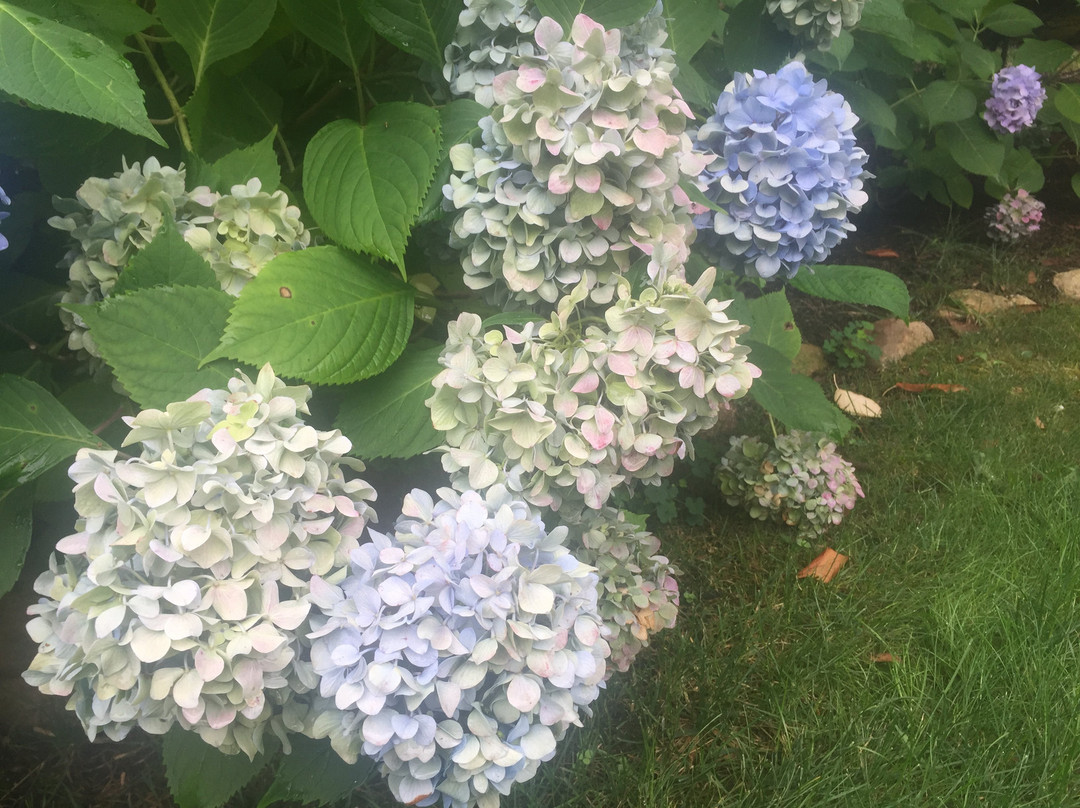 Frederick William House主图