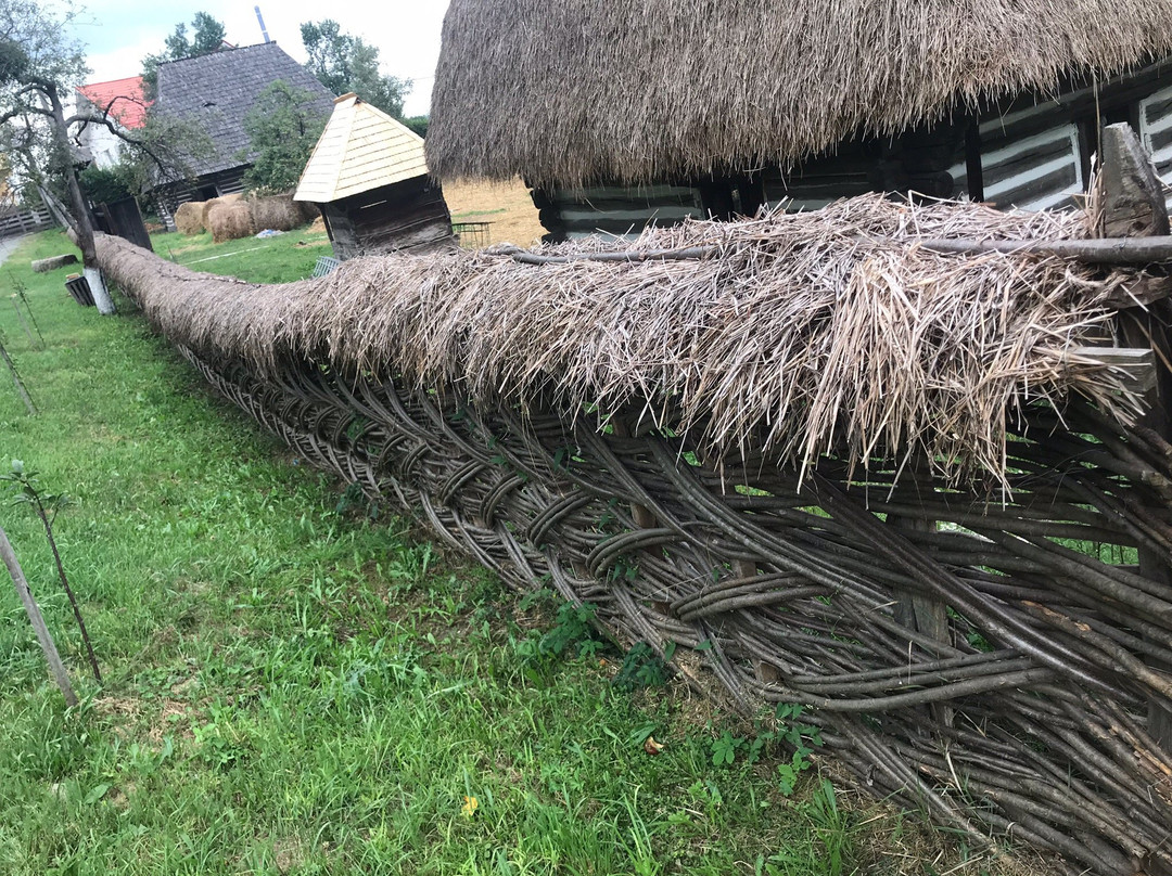 Baia Mare Ethnography and Folk Art Museum景点图片