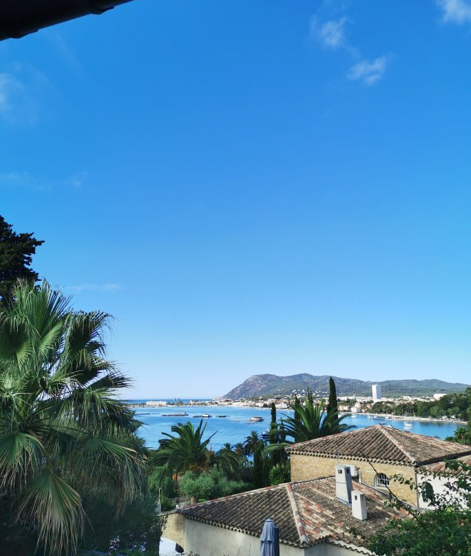 Amadeus Guest House主图