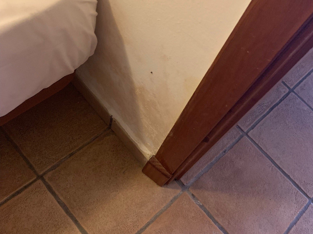 Vista Real Hotel-Apartamentos主图