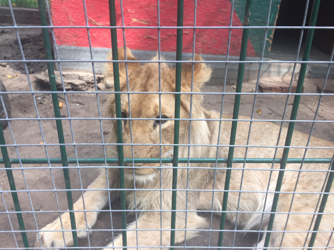 Petrovskiy Zoo-喀山必去景点