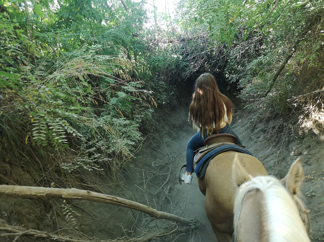 Horse Riding Tour景点图片