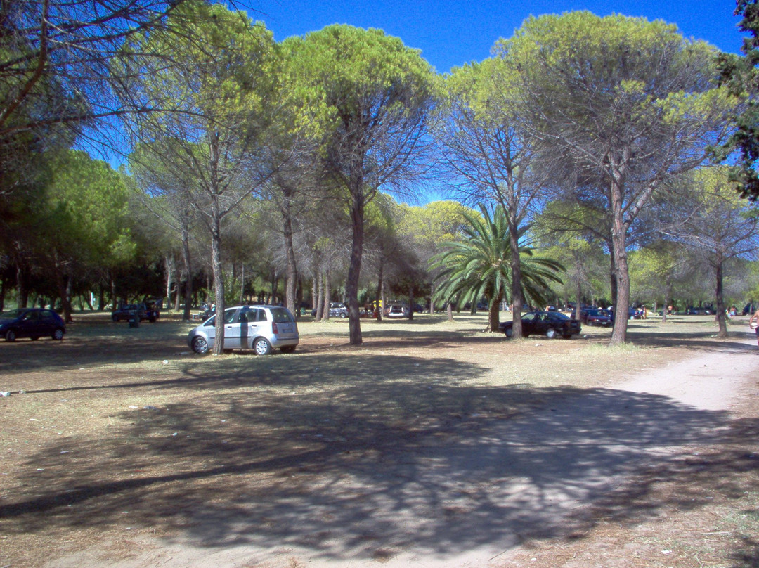 Spiaggia Pineta del Gelsomineto景点图片