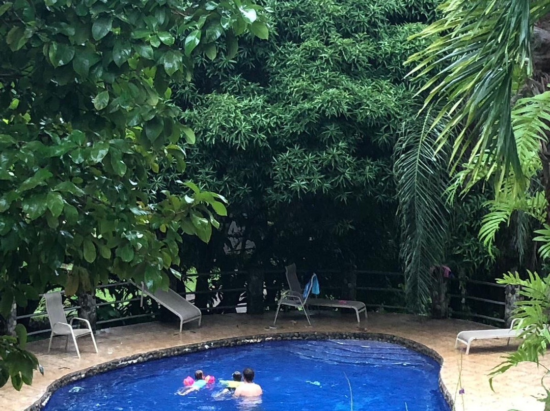 Blue Banyan Inn主图