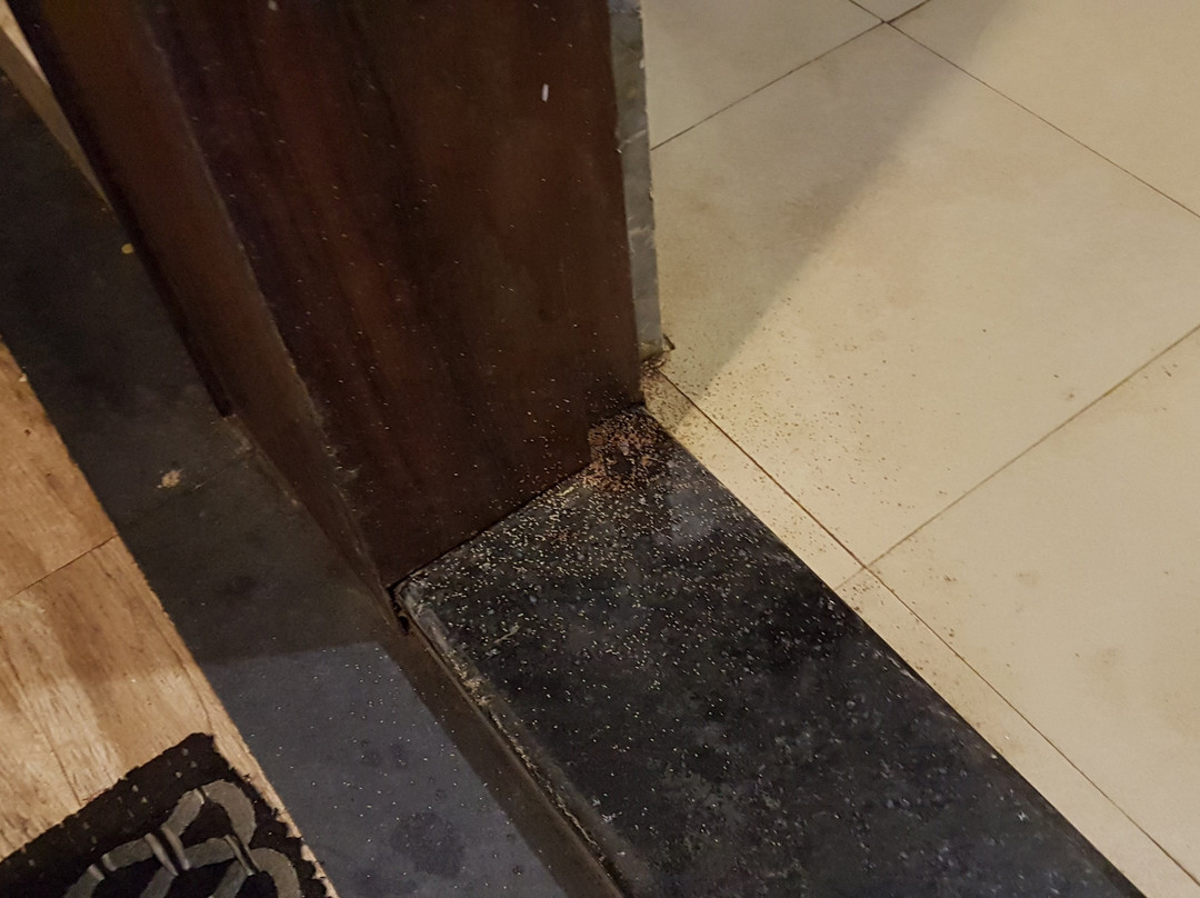 Hotel Balaji International主图