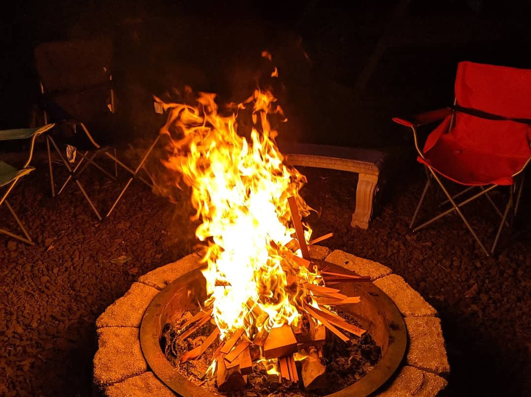 Beagle's Bed & Breakfast主图