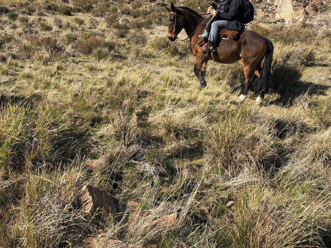 Campo Equino Cabalgatas-本塔纳山脉必去景点