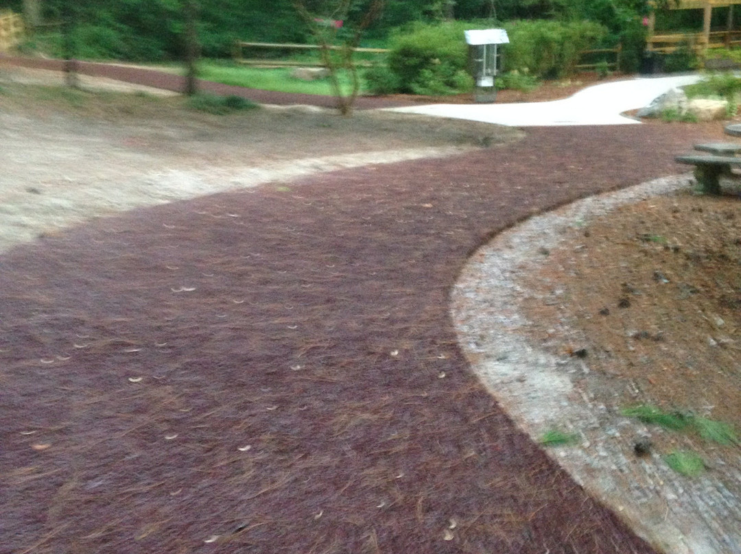 Virginia Hylton Park-列克星敦必去景点