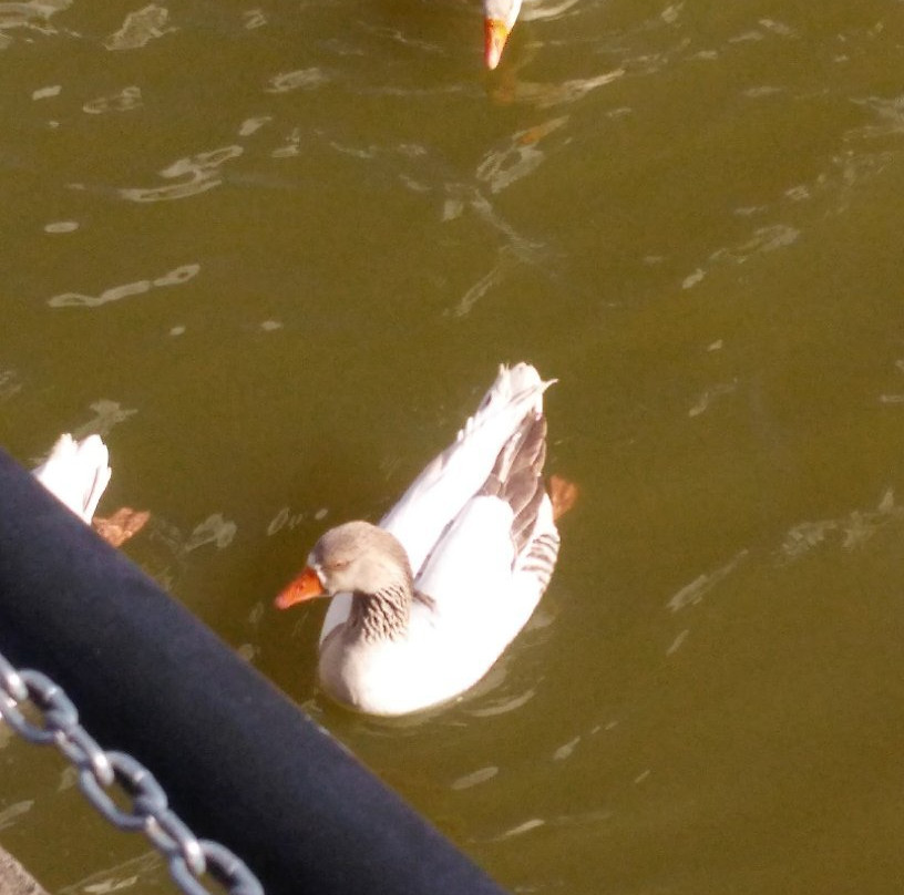 Palácio dos Tropeiros-索罗卡巴必去景点