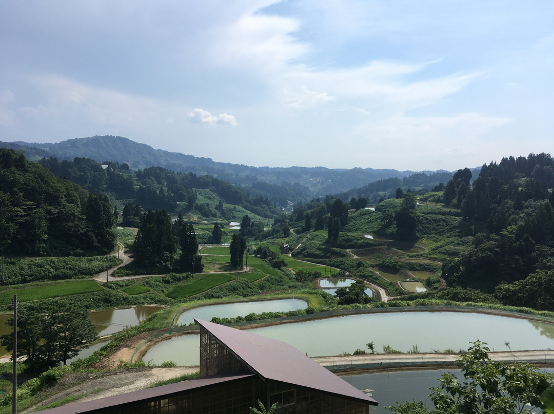 Yamakoshi Alpaca Farm-长冈市必去景点