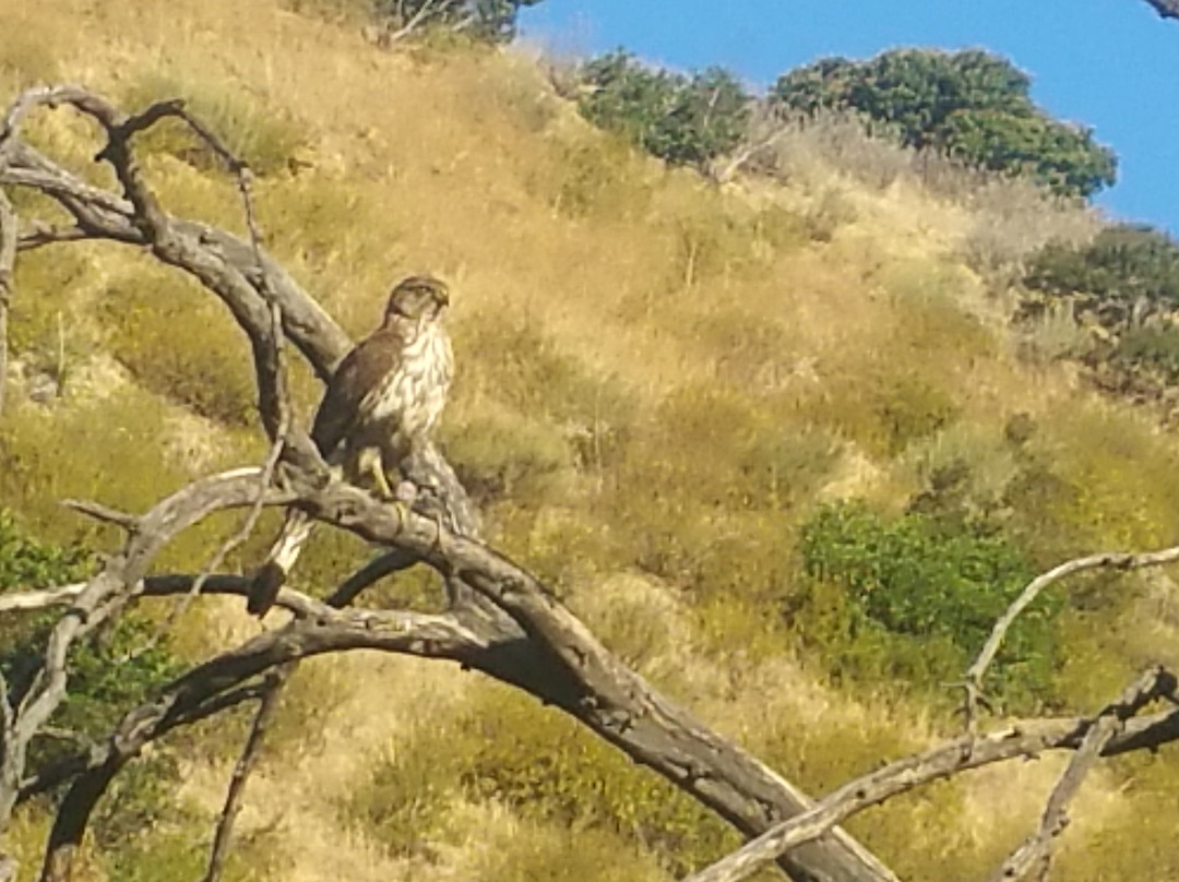 Rocky Peak Trail-西米谷必去景点
