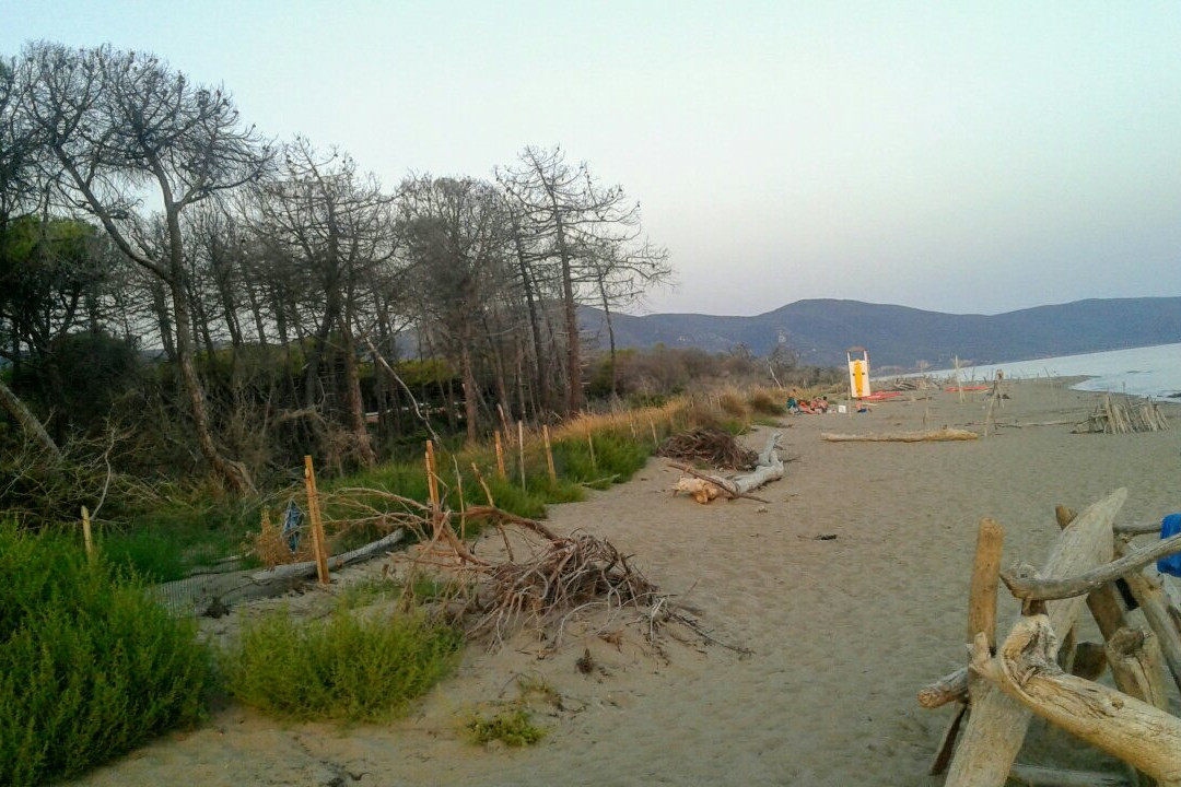 Marina di Alberese景点图片