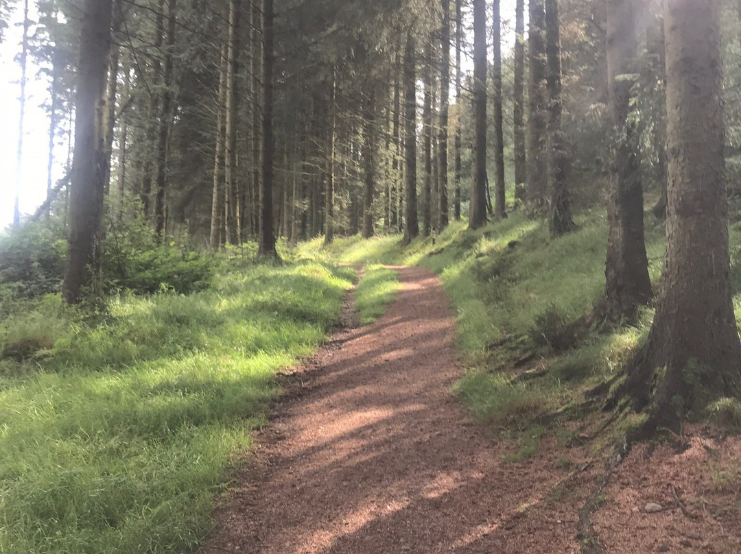 Coed Llandegla Forest-Llandegla必去景点