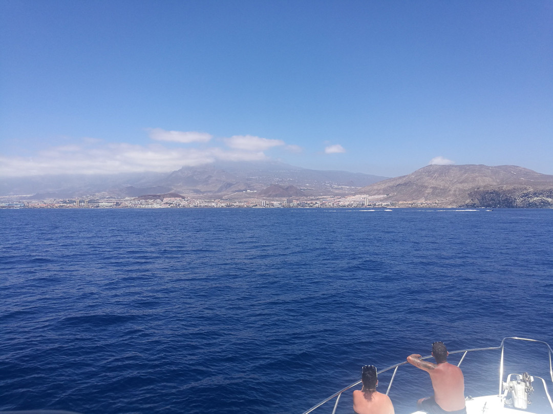 Tonina Cruises-拉斯加勒塔斯必去景点