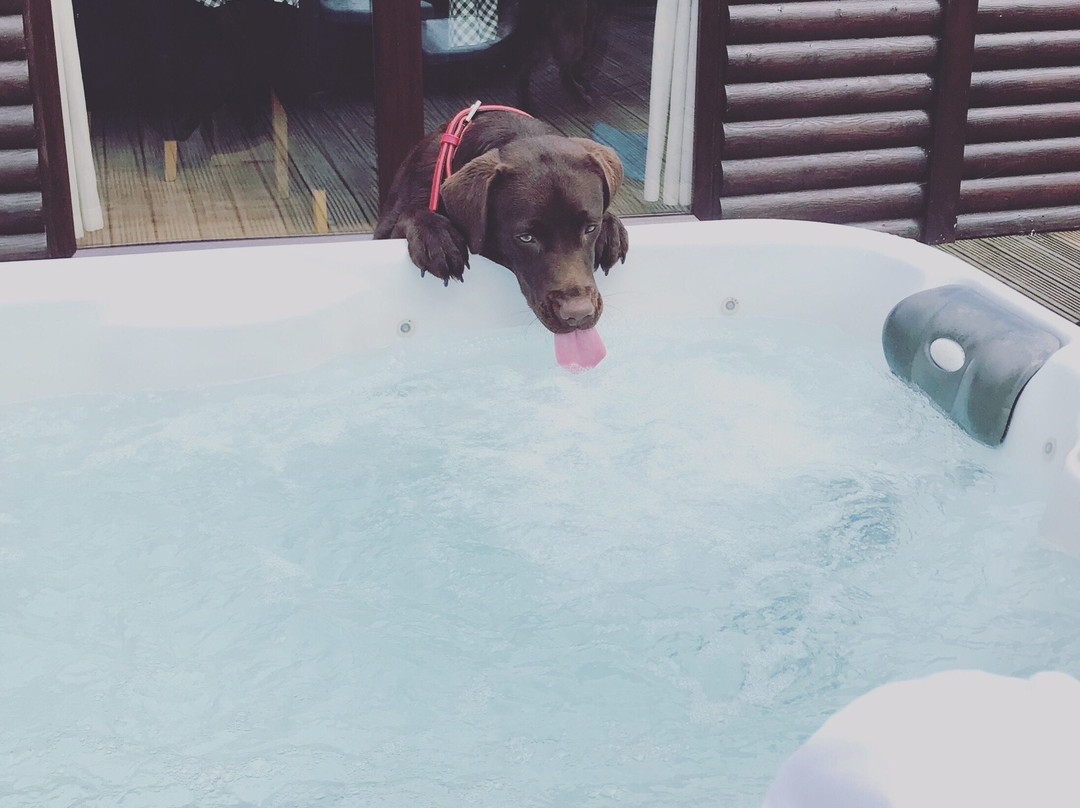 Lower Yelland Farm主图