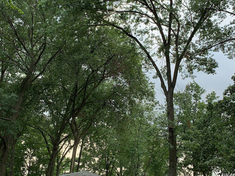 Saddle River County Park-萨德尔布鲁克必去景点