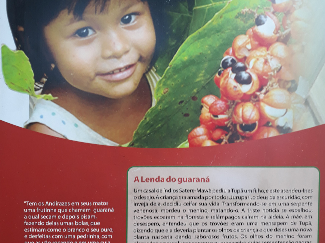 Cultural Centre of the Peoples of the Amazon-玛瑙斯必去景点