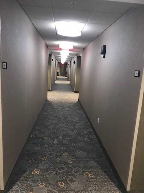 Courtyard West Springfield主图