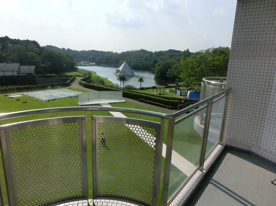 Hotel Rosa Blanca主图