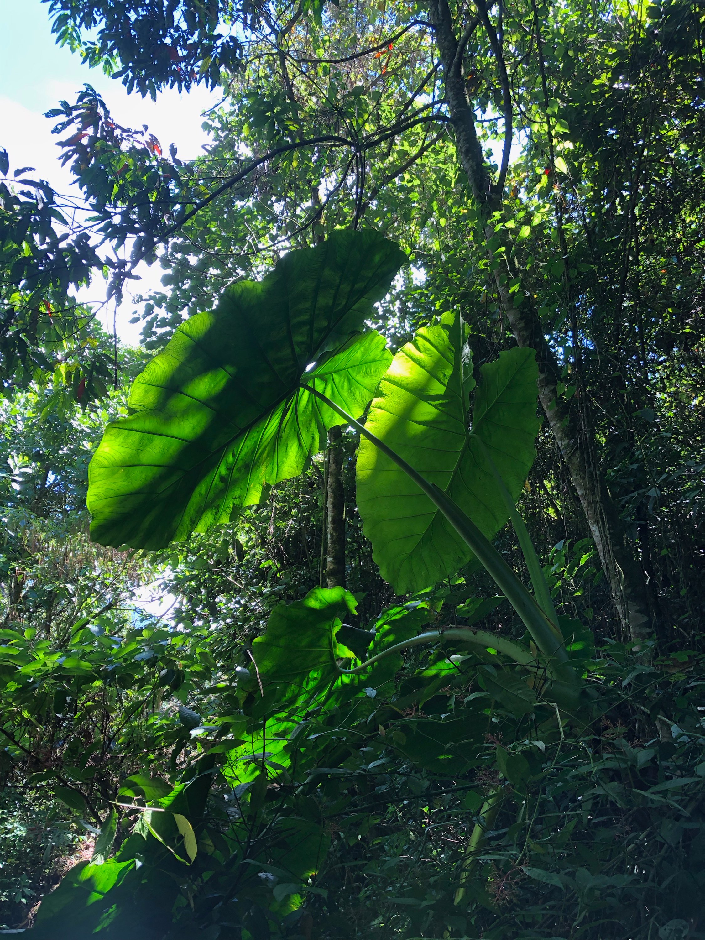 Hacienda La Sierra-浴室