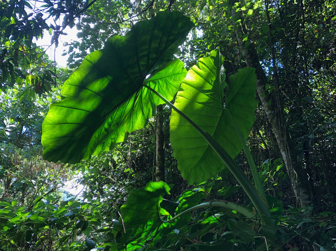 Hacienda La Sierra主图