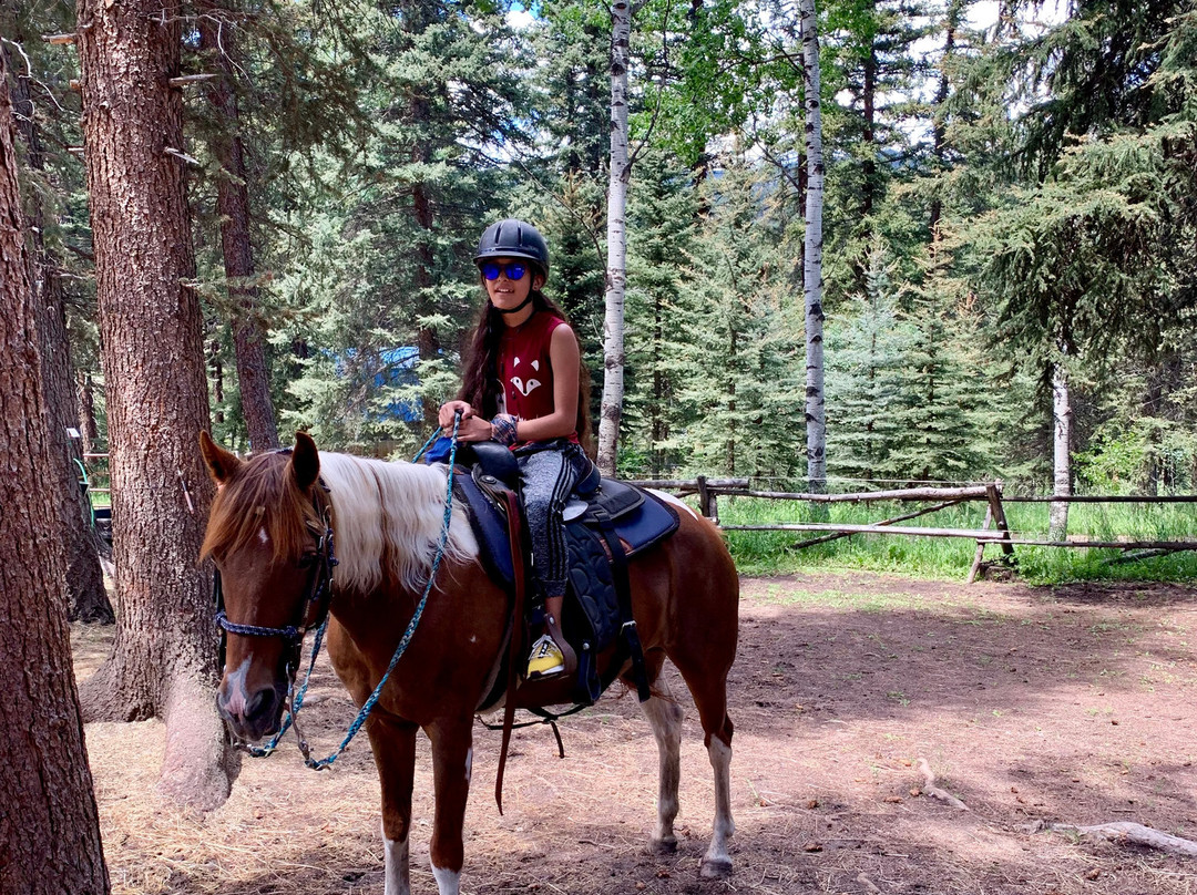 Bear Mountain Stables-Conifer必去景点