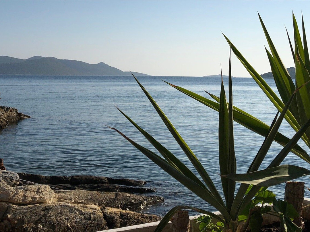Posidonio Bay景点图片