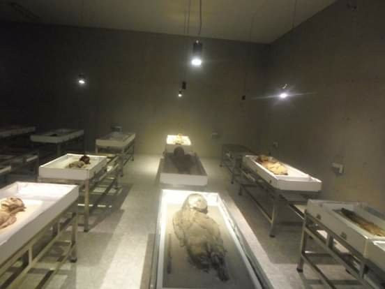 Museo Momias Chinchorro景点图片