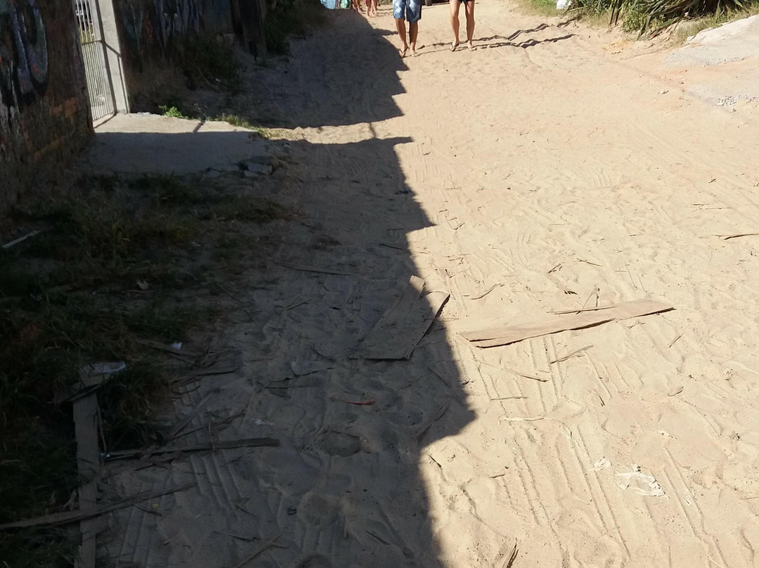 Praia do Campeche-弗洛里亚诺波利斯必去景点