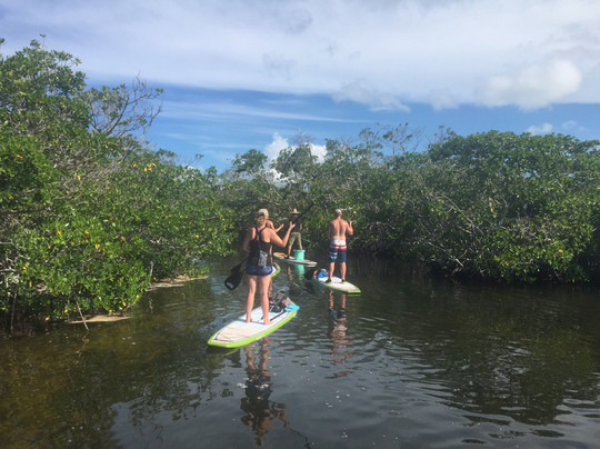 Red Mangrove Kayaking-基韦斯特必去景点