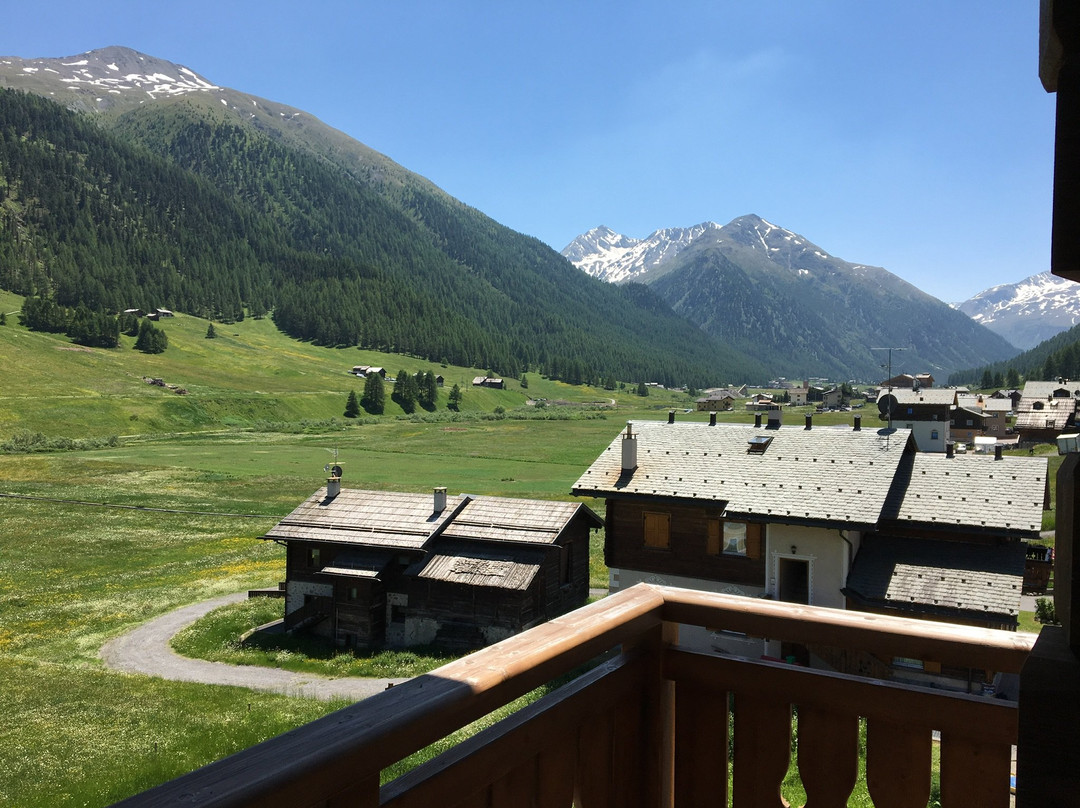 Hotel Amerikan主图