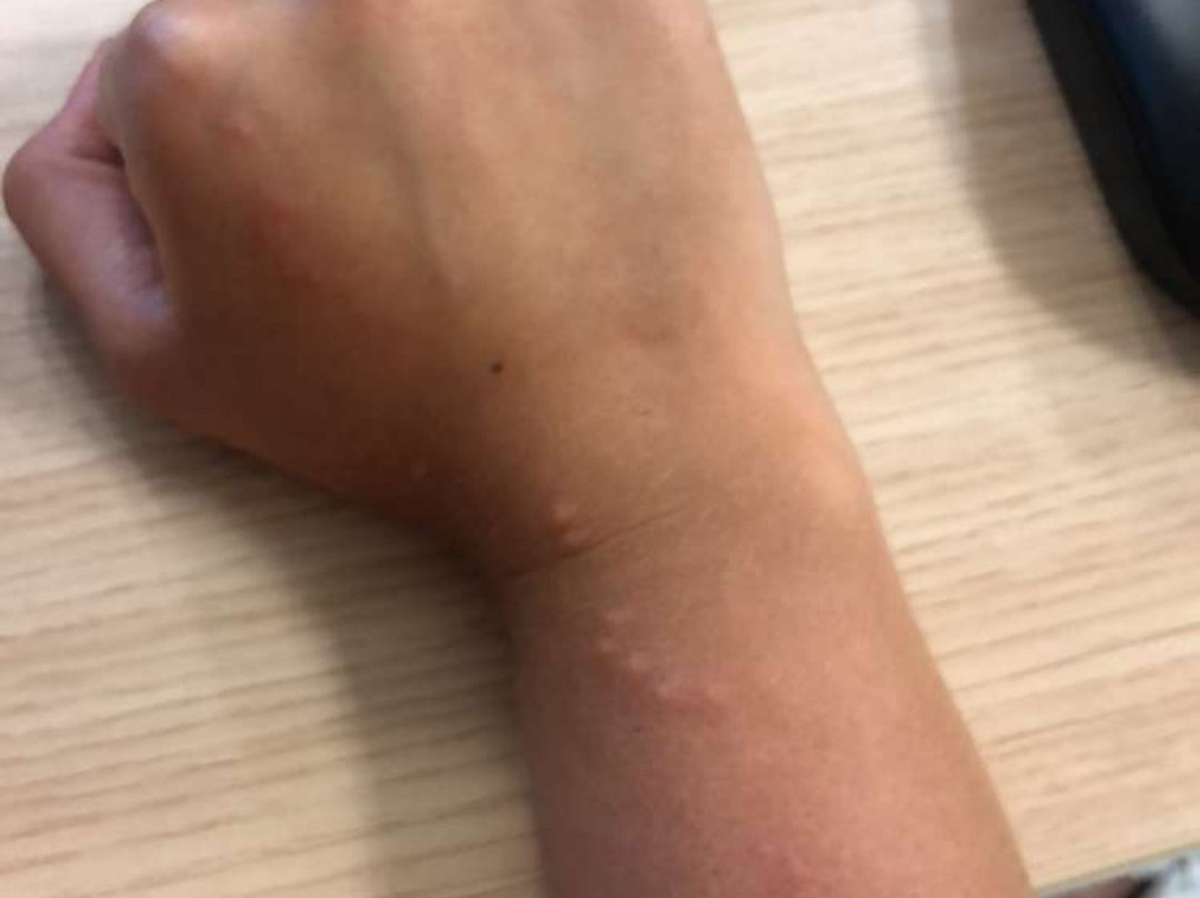 Le Relais de l'Abbaye主图